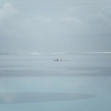 amDSCF0029