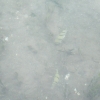 bjDSCF0047