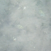 bkDSCF0048