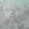 bmDSCF0050
