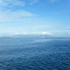 ccDSCF0054