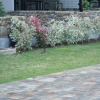 daDSCF0057