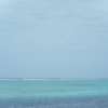 hiDSCF0079
