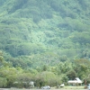 hmDSCF0083