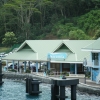 hnDSCF0084