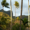 afDSCF0097