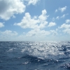 bhDSCF0105