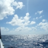 biDSCF0106