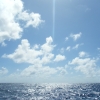 bjDSCF0107