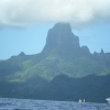bmDSCF0110