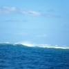boDSCF0112