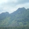 bqDSCF0114