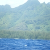 brDSCF0115