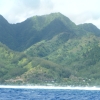cdDSCF0127