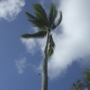 daDSCF0016 (2)