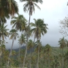 ccDSCF0030 (2)