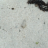 cfDSCF0157