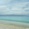 cjDSCF0169