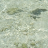 coDSCF0174