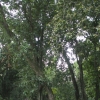 eaDSCF0036 (2)