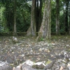 ebDSCF0181