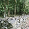 ecDSCF0182