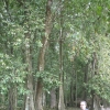 efDSCF0038 (2)