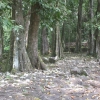 egDSCF0039 (2)