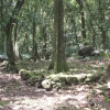elDSCF0042 (2)
