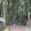 etDSCF0046 (2)