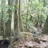 evDSCF0190