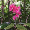 ewDSCF0049 (2)