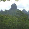 feDSCF0054 (2)