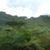 fhDSCF0194