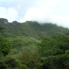 fiDSCF0195