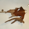 gaDSCF0208