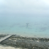 acDSCF0249