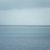 adDSCF0268