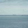 afDSCF0272