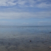 btDSCF0120 (2)