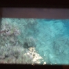 ddDSCF0135 (2)