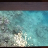 deDSCF0136 (2)