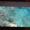 dfDSCF0137 (2)