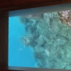 dgDSCF0138 (2)