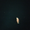 diDSCF0297