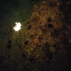dlDSCF0301