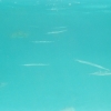 ap00000016